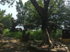 -宝晶宫旅游景区