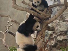 -香港海洋公园