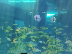 -泉城欧乐堡海洋极地世界