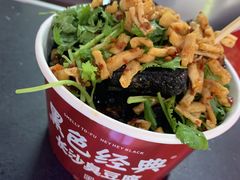 -黑色经典臭豆腐·湖南特产(坡子街店)