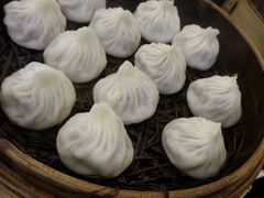 鲜肉小笼-大龙汤包