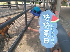 -长白岛森林公园