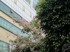 -佛山市第一中学