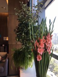 -北京米扬丽格医疗美容·联合丽格鼻整形中心