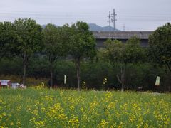 -光明小镇欢乐田园