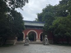 -灵谷景区