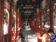 -中国人民解放军总医院(301医院)