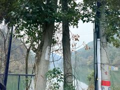 -芦茨金富饭庄·25年老字号·专做稻草鸡