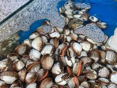 -海之味海鲜大咖·家常菜