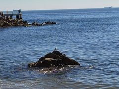 -北戴河碧螺塔海上酒吧公园