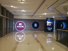 -SFC上影影城(港汇永华IMAX激光店)