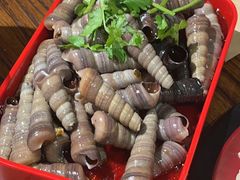 -柿子树炭烤羊腿(金台路店)
