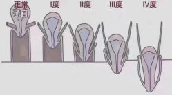 -昕孕瑜伽·孕妇瑜伽·产后修复