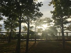 -琅岐红光湖公园