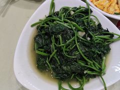 清炒苕尖-旅宁大酒店