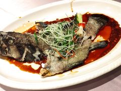 清蒸龙胆鱼-紫阳海鲜楼·传承闽味(长乐路总店)