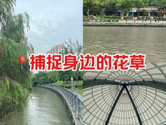 -苏州河梦清园环保主题公园