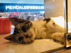 -乐宠宠物店(世纪金源店)