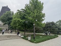 -玲珑塔公园