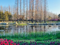 -青岛海滨风景区