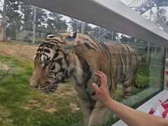 -西霞口神雕山野生动物世界