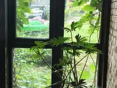 -泓0871臻选云南菜·味庄