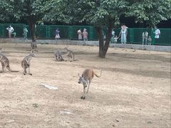 -西安秦岭野生动物园