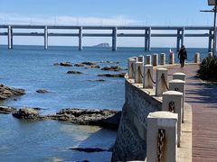 -星海湾跨海大桥