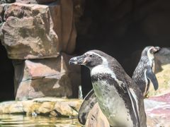 -长鹿旅游休博园