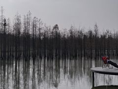 -白鹭湾湿地公园