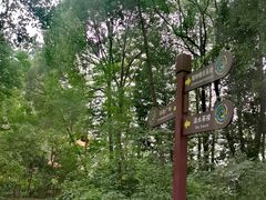 -成都市活水公园