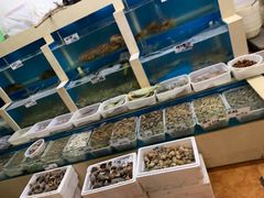 水产区-胶东海鲜大排档(北太平庄店)