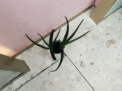 -薇薇安千层蛋糕(府城店)