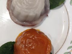 -葱妈母婴医护月嫂中心(浦东店)