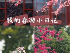 -堤角公园