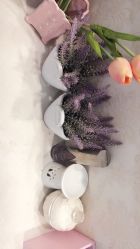 -悦芳庭美肤美体品牌集合店