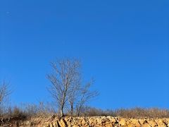 -清风小镇闯关东影视基地