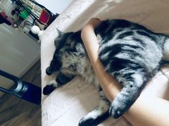 -宠颐生嘉德动物医院