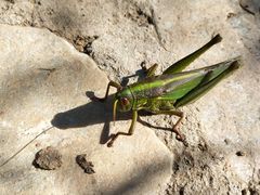 -蟠龙山长城景区
