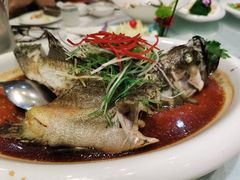 -金米箩大酒店(五角场店)