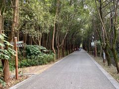 -同里国家湿地公园