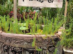 -丫口花园餐厅·融合菜