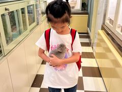 -龙猫仔乐园(惠福东路店)