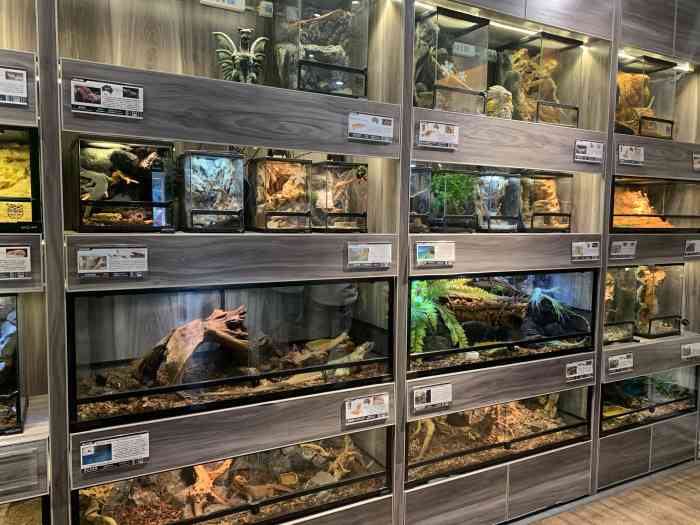 太空人爬宠俱乐部(798总店)-"特别喜欢冷血动物,发现公司旁边新开了家