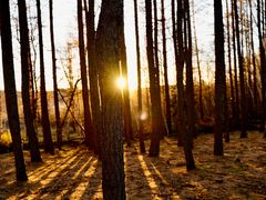 -塞罕坝国家级自然保护区