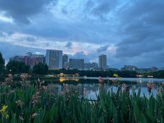 -南宁南湖公园