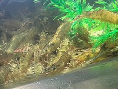 -V-ONE西雅图海鲜自助餐厅(仓山万达广场店)