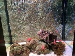 -暹罗海洋世界