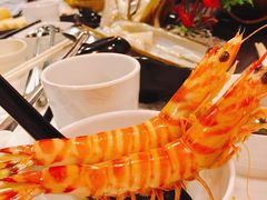 -鲜入围煮花胶鸡海鲜火锅