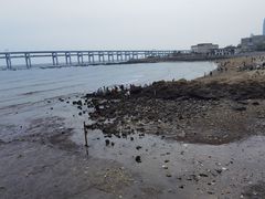 -黑石礁公园